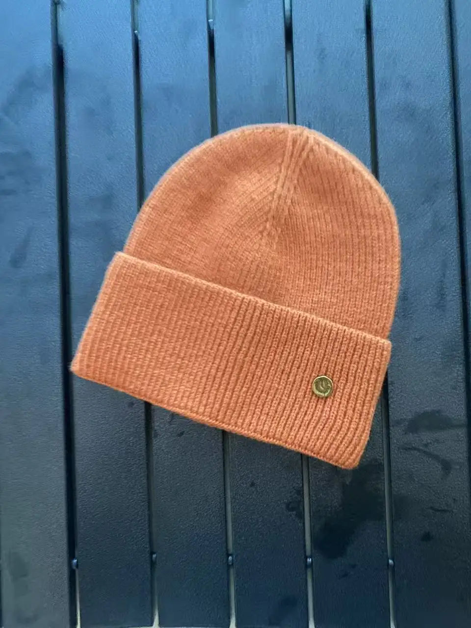 SolidcolorKorean knitted hat metal standard woolwomen's autumn andwinter Internet celebrityversatilewarmknitted windproof hatnew